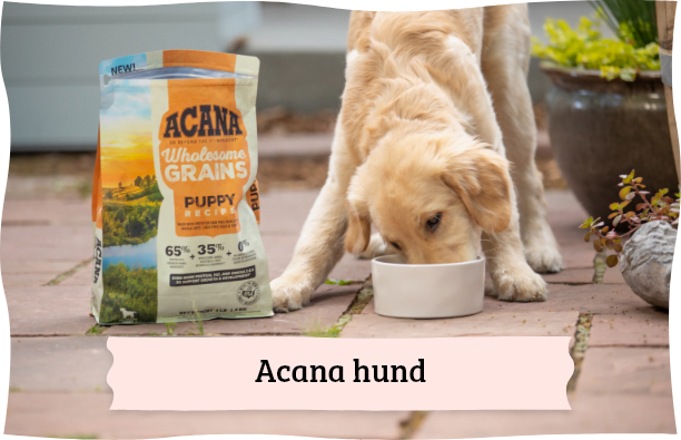 Acana hundeprodukter