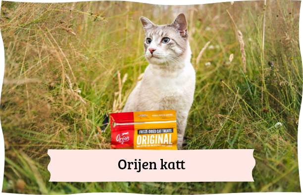 Orijen katteprodukter